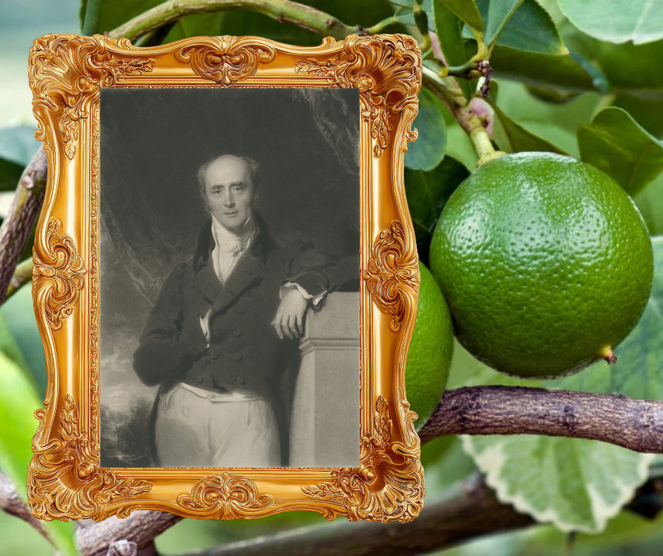 All about Earl Grey