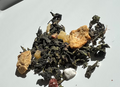 Lemon Ginger Oolong